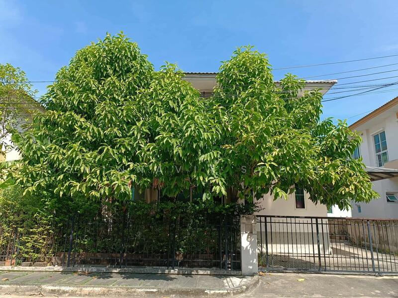 For Rent - Saransiri Wongwaen-Prachauthit, Bangkok