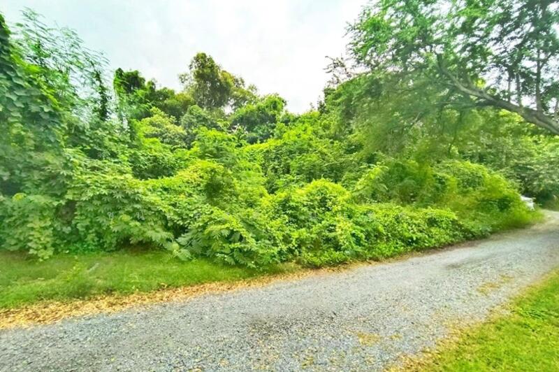 ขาย - บ้านพักคนชรา, ปทุมธานี