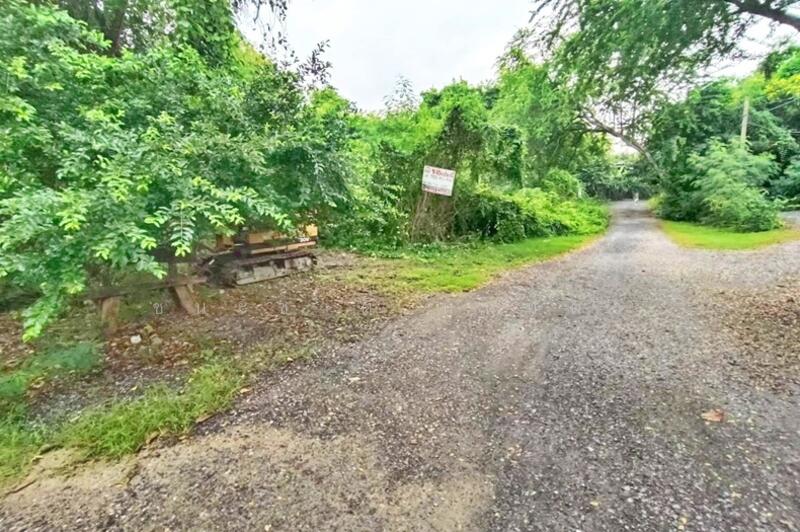 ขาย - บ้านพักคนชรา, ปทุมธานี