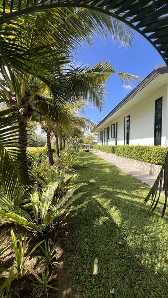 ขาย - ป่าป้อง, เชียงใหม่