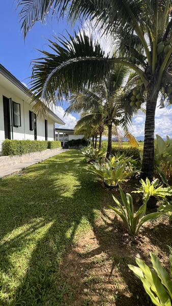 For Sale - 5 Bed House on Large Plot in Doi Saket for Sale, Chiang Mai