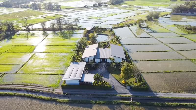 ป่าป้อง, เชียงใหม่, ป่าป้อง, ดอยสะเก็ด, เชียงใหม่, 398 ตร.ม., บ้านเดี่ยว ขาย, โดย นันทวัฒน์ หิรัญพุฒิพัทธ์, 500049297 - DDproperty.com