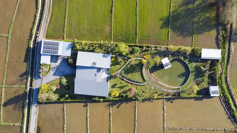 5 Bed House on Large Plot in Doi Saket for Sale, Chiang Mai, Pa - Bong, Doi Saket, Chiang Mai, 5 Bedrooms, 398 sqm, Single Detached House For Sale, by Nunthawat Hiranputtipat, 500049297 - DDproperty.com