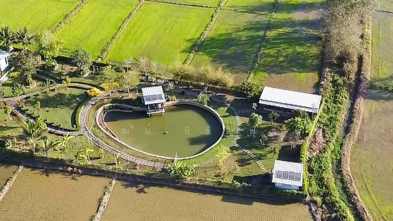 ป่าป้อง, เชียงใหม่, ป่าป้อง, ดอยสะเก็ด, เชียงใหม่, 398 ตร.ม., บ้านเดี่ยว ขาย, โดย นันทวัฒน์ หิรัญพุฒิพัทธ์, 500049297 - DDproperty.com