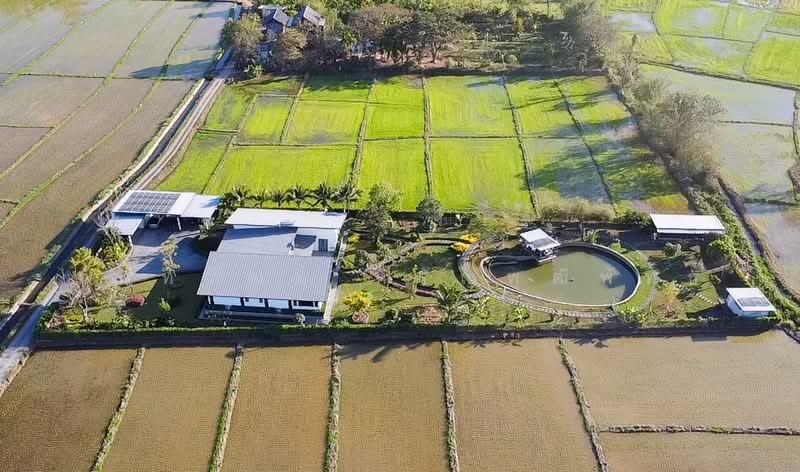 5 Bed House on Large Plot in Doi Saket for Sale, Chiang Mai, Pa - Bong, Doi Saket, Chiang Mai, 5 Bedrooms, 398 sqm, Single Detached House For Sale, by Nunthawat Hiranputtipat, 500049297 - DDproperty.com