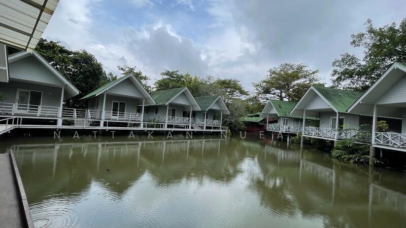 ให้เช่า - ต้นเชือกสีแยกคลองโยง, นนทบุรี