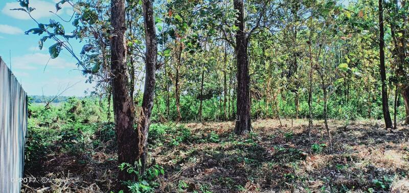 ขาย - ที่ดินเปล่า, มุกดาหาร