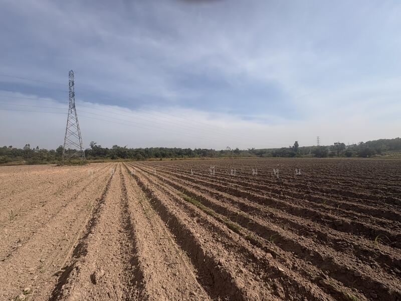 ขาย - ที่ดินเปล่า, มุกดาหาร
