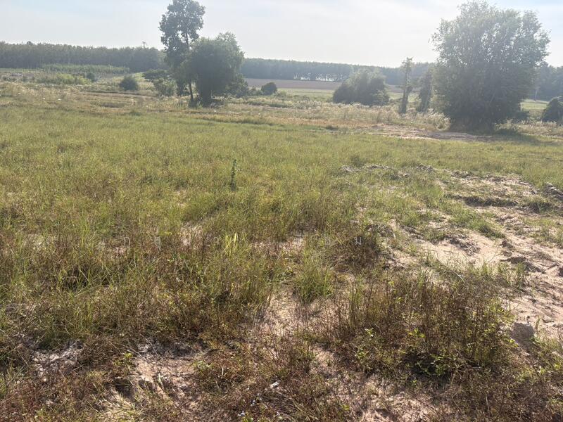 ขาย - ที่ดินเปล่า, มุกดาหาร