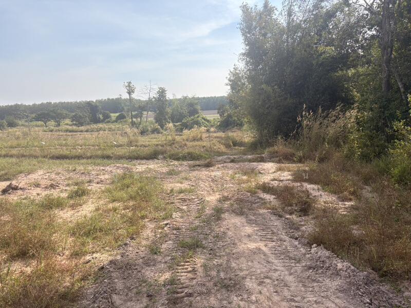 ขาย - ที่ดินเปล่า, มุกดาหาร