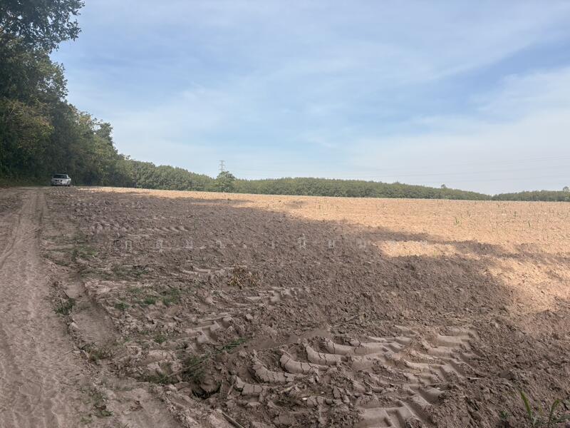 ขาย - ที่ดินเปล่า, มุกดาหาร