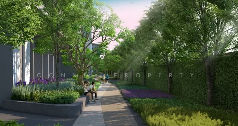 Niche Mono Ramkhamhaeng, Bangkok, Soi Ramkhamhaeg 36, Hua Mak, Bang Kapi, Bangkok, 1 Bedroom, 31 sqm, Condo For Sale, by Connex Property, 500049573 - DDproperty.com