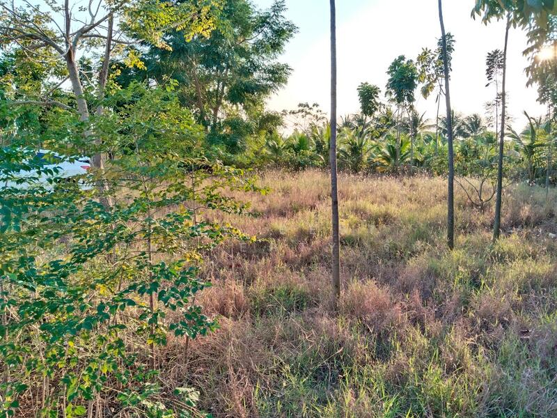 ที่ดินสามพราน นครปฐม, นครปฐม, คลองจินดา, สามพราน, นครปฐม, 3,532 ตร.ม., ที่ดิน ขาย, โดย The Best Property รัก, 500049647 - DDproperty.com
