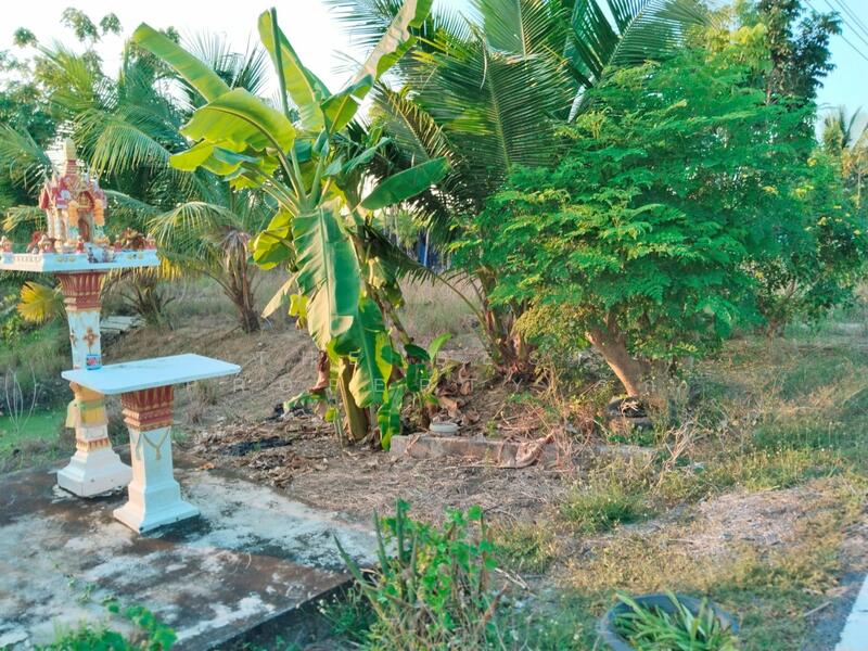 ที่ดินสามพราน นครปฐม, นครปฐม, คลองจินดา, สามพราน, นครปฐม, 3,532 ตร.ม., ที่ดิน ขาย, โดย The Best Property รัก, 500049647 - DDproperty.com