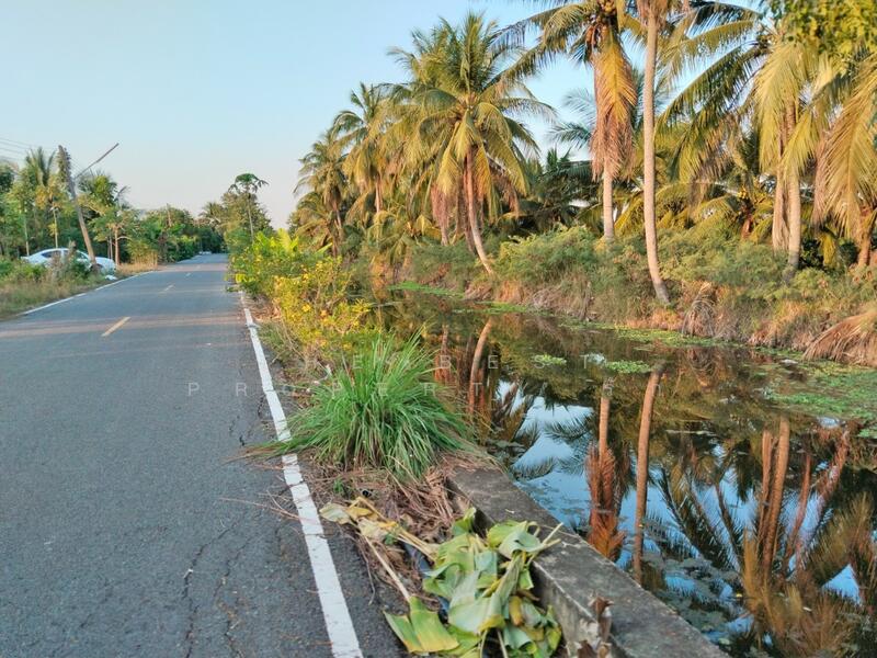 ที่ดินสามพราน นครปฐม, Nakhon Pathom, Khlong Chinda, Sam Phran, Nakhon Pathom, , 3,532 sqm, Land For Sale, by The Best Property รัก, 500049647 - DDproperty.com
