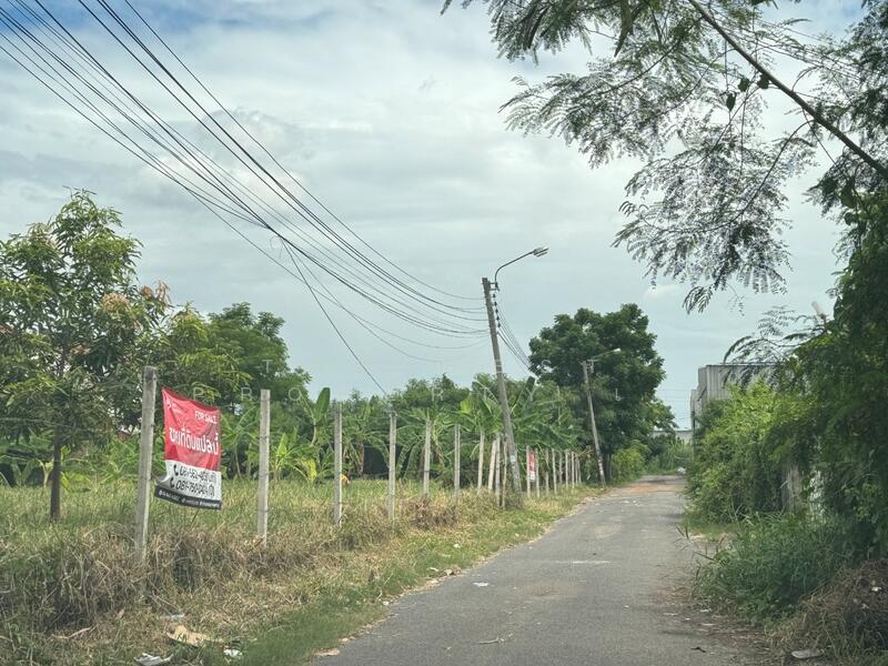 ที่ดินบางเขน กรุงเทพมหานคร, กรุงเทพ, ท่าแร้ง, บางเขน, กรุงเทพ, 928 ตร.ม., Land ขาย, โดย The Best Property เก๋, 500049890 - DDproperty.com