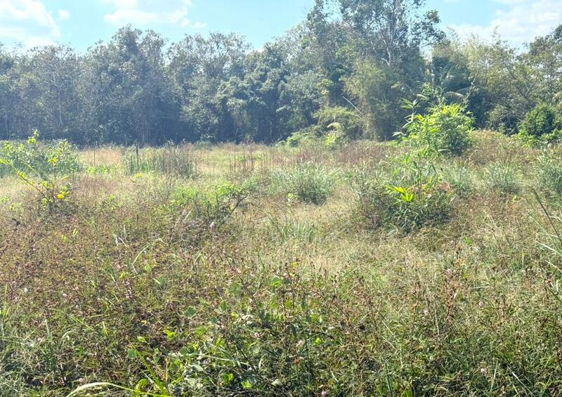 ขาย - ที่ดินมะขาม จันทบุรี, จันทบุรี