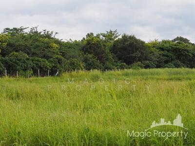 ขาย - ขายที่ดิน เขาใหญ่ ตำบลขนงพระ อำเภอปากช่อง จังหวัดนครราชสีมา, นครราชสีมา