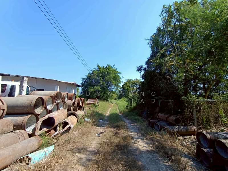 ขายด่วน ที่ดินเปล่า 100 ตรว. กว้าง 17 ลึก 22 ธัญญบุรี คลอง 6 ที่ดินเหมาะสร้างที่พักอาศัย, Pathum Thani, Khlong Hok, Khlong Luang, Pathum Thani, , 400 sqm, Land For Sale, by Tadsapong Pimpachad, 500050566 - DDproperty.com