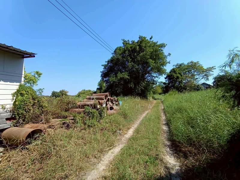 ขายด่วน ที่ดินเปล่า 100 ตรว. กว้าง 17 ลึก 22 ธัญญบุรี คลอง 6 ที่ดินเหมาะสร้างที่พักอาศัย, ปทุมธานี, คลองหก, คลองหลวง, ปทุมธานี, 400 ตร.ม., ที่ดิน ขาย, โดย Tadsapong Pimpachad, 500050566 - DDproperty.com