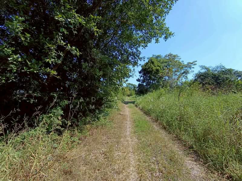 ขายด่วน ที่ดินเปล่า 100 ตรว. กว้าง 17 ลึก 22 ธัญญบุรี คลอง 6 ที่ดินเหมาะสร้างที่พักอาศัย, Pathum Thani, Khlong Hok, Khlong Luang, Pathum Thani, , 400 sqm, Land For Sale, by Tadsapong Pimpachad, 500050566 - DDproperty.com