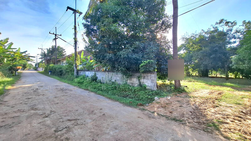 For Sale - ที่ดินจังหาร ร้อยเอ็ด, Roi Et