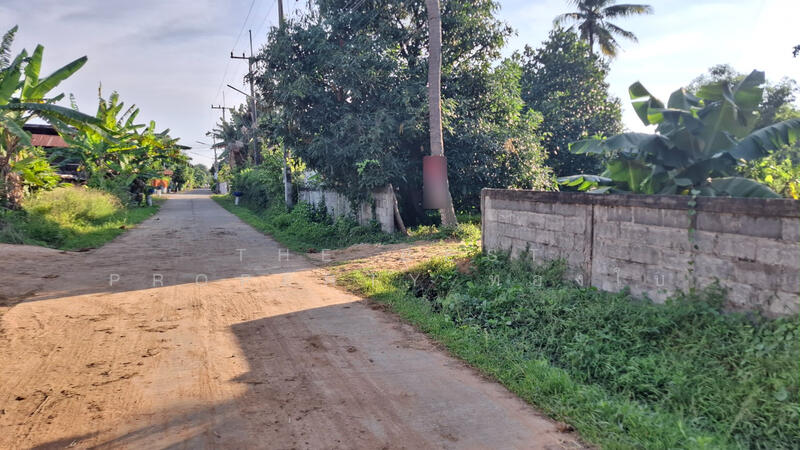 For Sale - ที่ดินจังหาร ร้อยเอ็ด, Roi Et