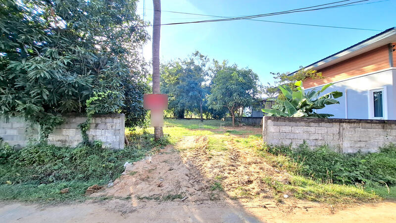 For Sale - ที่ดินจังหาร ร้อยเอ็ด, Roi Et