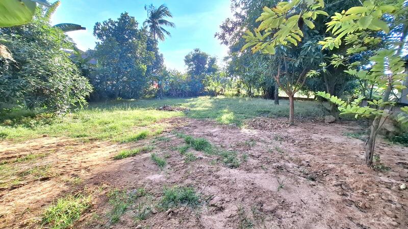 For Sale - ที่ดินจังหาร ร้อยเอ็ด, Roi Et