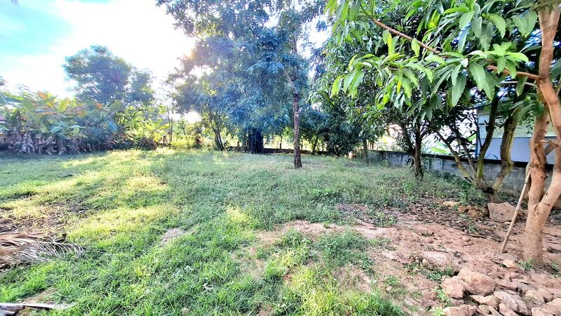 For Sale - ที่ดินจังหาร ร้อยเอ็ด, Roi Et