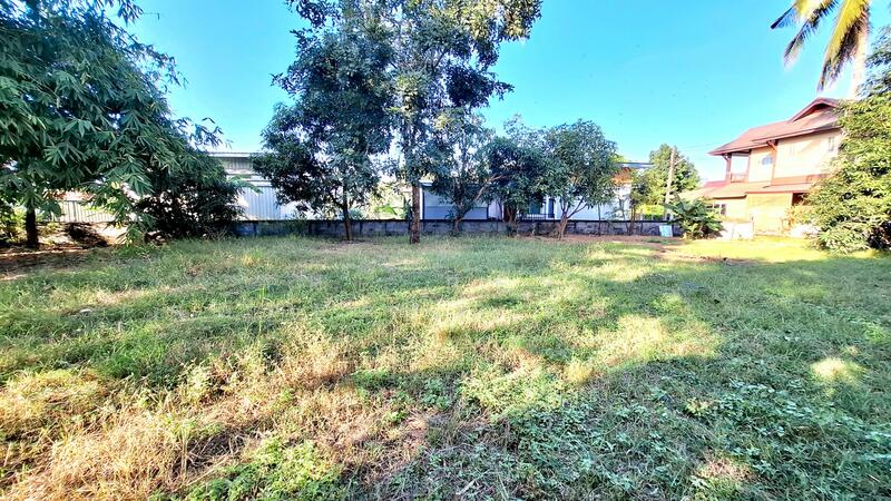 For Sale - ที่ดินจังหาร ร้อยเอ็ด, Roi Et