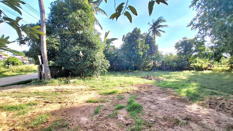 For Sale - ที่ดินจังหาร ร้อยเอ็ด, Roi Et
