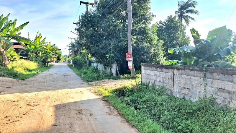 For Sale - ที่ดินจังหาร ร้อยเอ็ด, Roi Et
