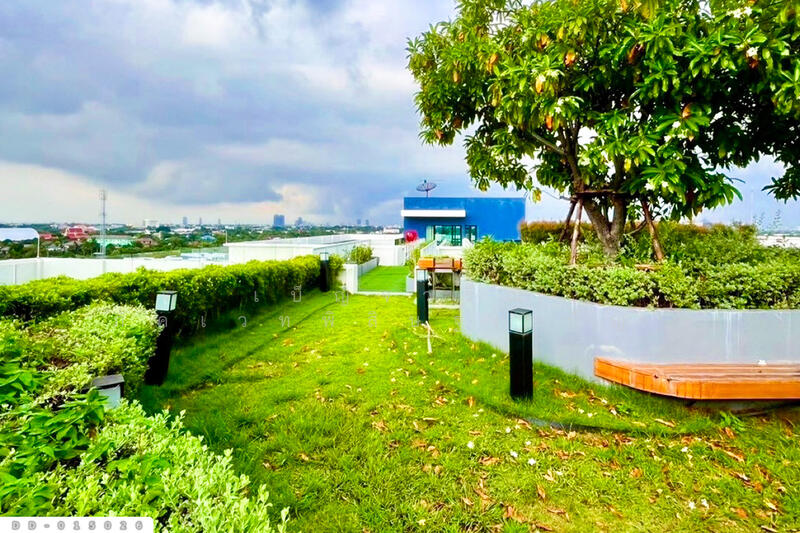 ให้เช่า - Ploen Ploen Condo Ratchapruek-Pinklao 2 : เพลิน เพลิน คอนโด ราชพฤกษ์-ปิ่นเกล้า 2, นนทบุรี