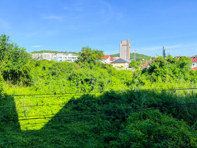 ขาย - Fly Bird Condominium : นกบิน คอนโดมิเนียม, ชลบุรี