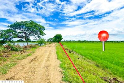 ขาย - WR-994947 ที่ดินท่ามะกา 10 ไร่ 30 ตร.ว. กาญจนบุรี, กาญจนบุรี