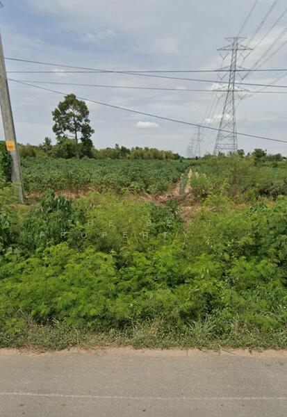 For Sale - ที่ดินบ้านเขว้า ชัยภูมิ, Chaiyaphum