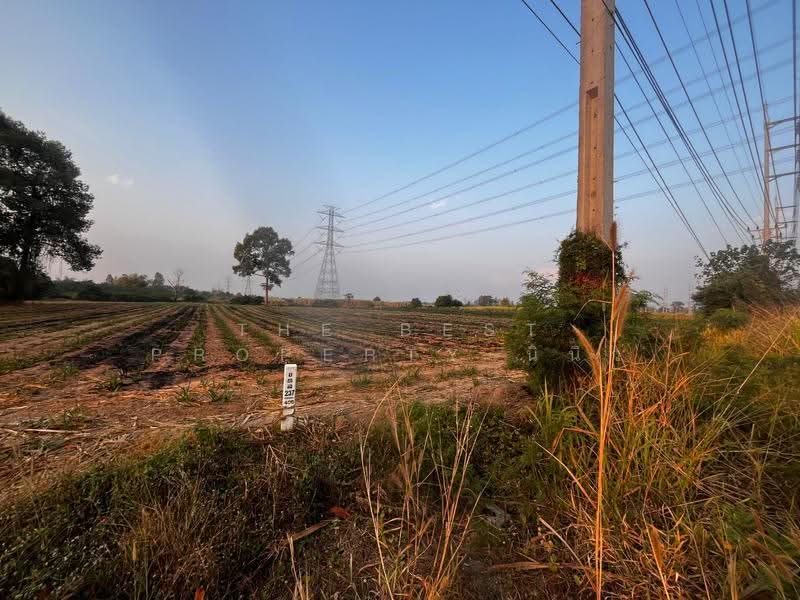 ที่ดินบ้านเขว้า ชัยภูมิ, Chaiyaphum, Talat Raeng, Ban Khwao, Chaiyaphum, , 7,700 sqm, Land For Sale, by The Best Property นินิว, 500051185 - DDproperty.com