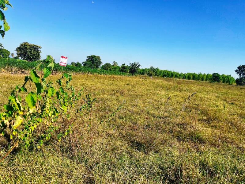 ขาย - ที่ดินห้วยกระเจา กาญจนบุรี, กาญจนบุรี