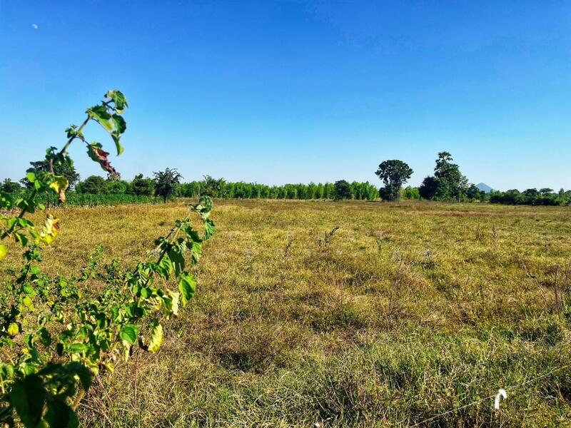 ขาย - ที่ดินห้วยกระเจา กาญจนบุรี, กาญจนบุรี