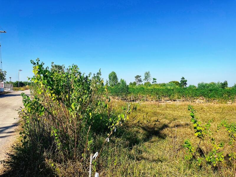 ขาย - ที่ดินห้วยกระเจา กาญจนบุรี, กาญจนบุรี