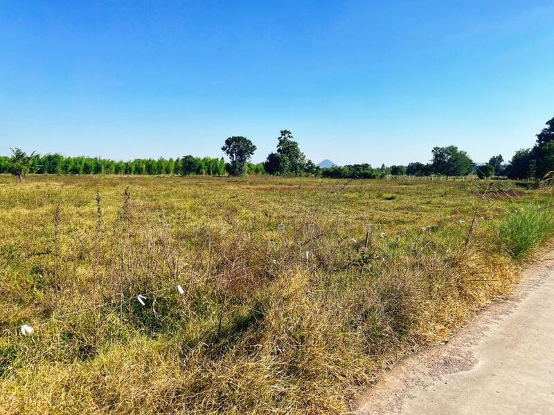 ขาย - ที่ดินห้วยกระเจา กาญจนบุรี, กาญจนบุรี