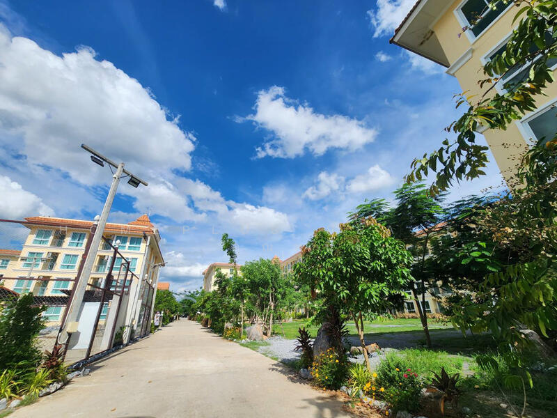 ขาย - The Chiva Sanctuary Khao Yai : เดอะ ชีวา แซงทัวรี เขาใหญ่, นครราชสีมา