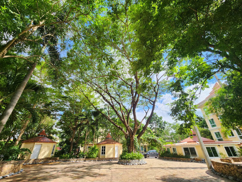 ขาย - The Chiva Sanctuary Khao Yai : เดอะ ชีวา แซงทัวรี เขาใหญ่, นครราชสีมา