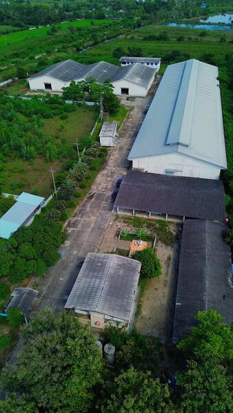 ให้เช่าโรงงานพร้อมโกดัง 17 ไร่ พื้นที่ใช้สอย 7,200 ตร.ม. ไฟ 500 KVA สองพี่น้อง สุพรรณบุรี, สุพรรณบุรี, ทุ่งคอก, สองพี่น้อง, สุพรรณบุรี, 7,200 ตร.ม., โกดัง-โรงงาน ให้เช่า, โดย ชัยณรงค์ ลิ้มอารีย์สุข, 500052878 - DDproperty.com