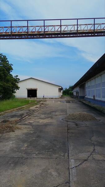ให้เช่าโรงงานพร้อมโกดัง 17 ไร่ พื้นที่ใช้สอย 7,200 ตร.ม. ไฟ 500 KVA สองพี่น้อง สุพรรณบุรี, สุพรรณบุรี, ทุ่งคอก, สองพี่น้อง, สุพรรณบุรี, 7,200 ตร.ม., โกดัง-โรงงาน ให้เช่า, โดย ชัยณรงค์ ลิ้มอารีย์สุข, 500052878 - DDproperty.com