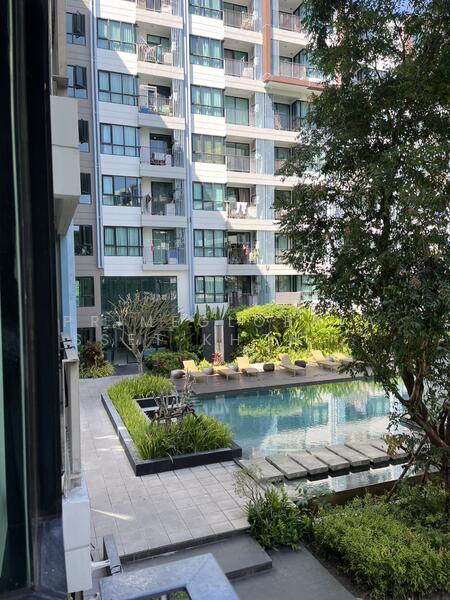 ให้เช่า - Centrio Condominium : เซนทริโอ คอนโดมิเนียม, ภูเก็ต