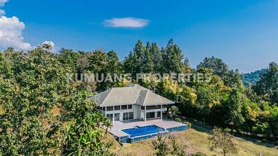 ขาย - น้ำเเพร่ หางดง, เชียงใหม่