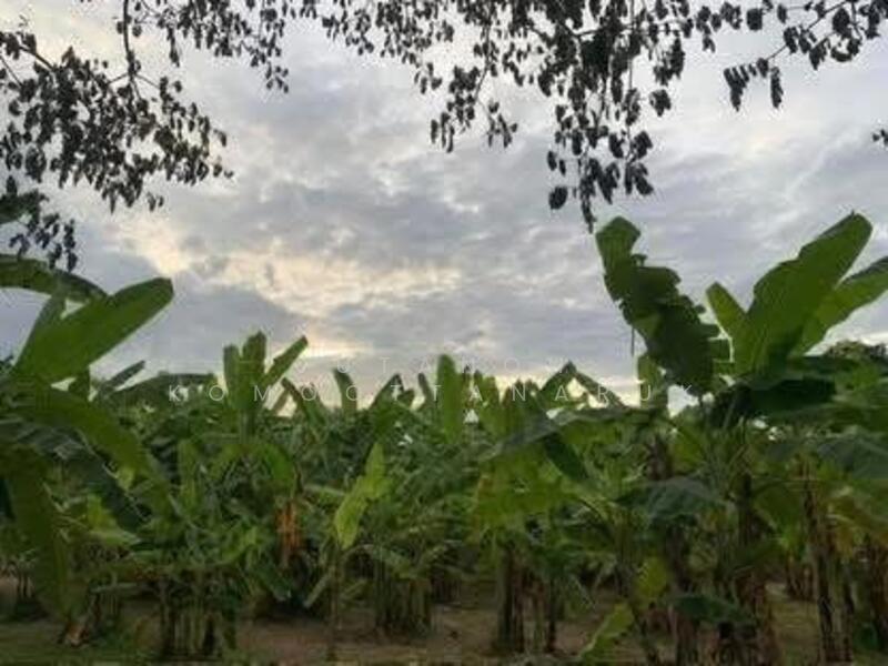 ขาย - ขายที่ดินทำเลทอง! หมู่บ้านช่างทอง ต.สุเทพ อ.เมืองเชียงใหม่ ใกล้มหาวิทยาลัยเชียงใหม่ (หลัง มช.), เชียงใหม่