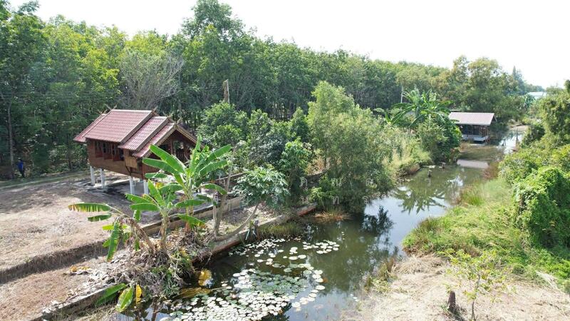 ขาย - ถนนรังสิต - นครนายก - ปทุมธานี ตำบลศาลาครุ อำเภอหนองเสือ จังหวัดปทุมธานี, ปทุมธานี